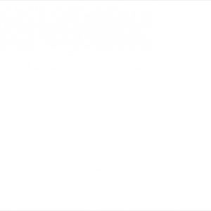 Meet your Posher, Benjamin